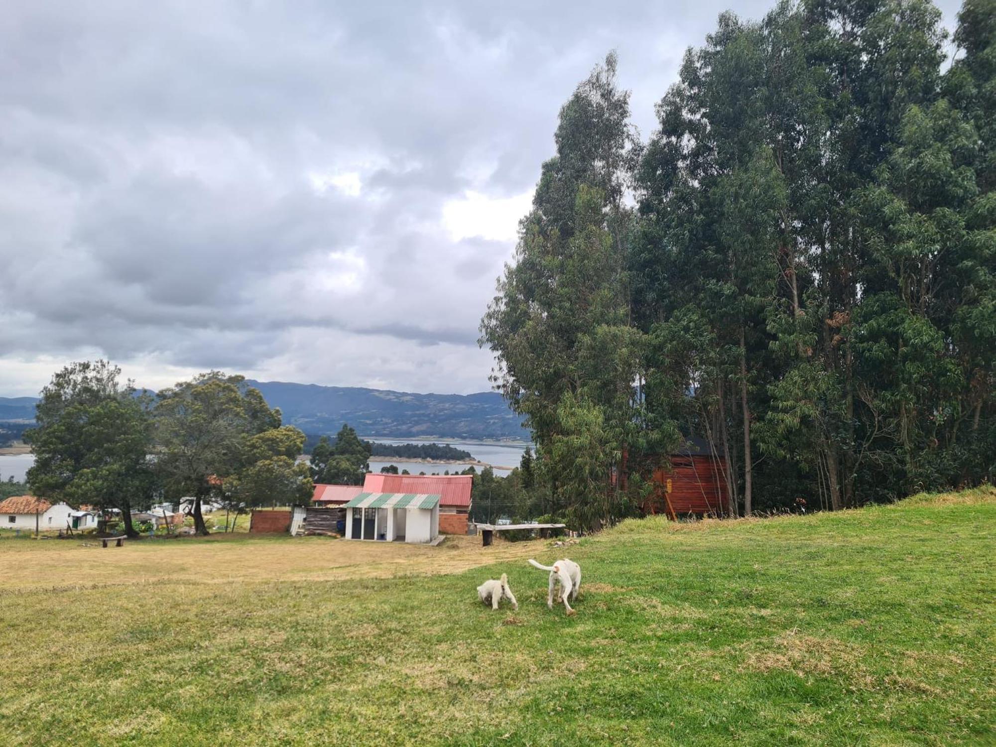Camping Las Acacias Гуатавита Экстерьер фото